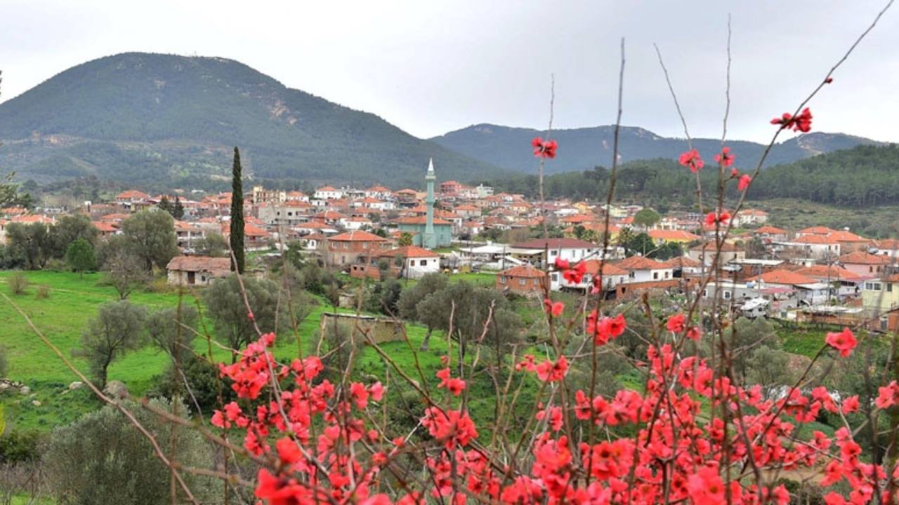 Zeytinliklerle Çevrili Orhanlı Köyü Tatilcilerin Yeni Gözdesi seferihisarin en buyuk orhanli koyu 677c7eff96da1 1 - Marmara Bölge Gazetesi