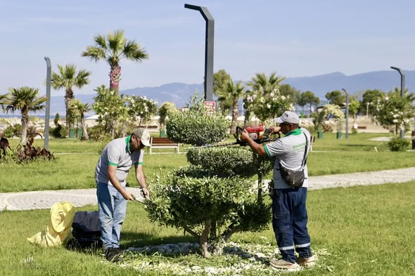 Burhaniye'de Park ve Yeşil Alanlar Yenileniyor 711618367 1468384605327903 2399087012106599994 n - Marmara Bölge Gazetesi