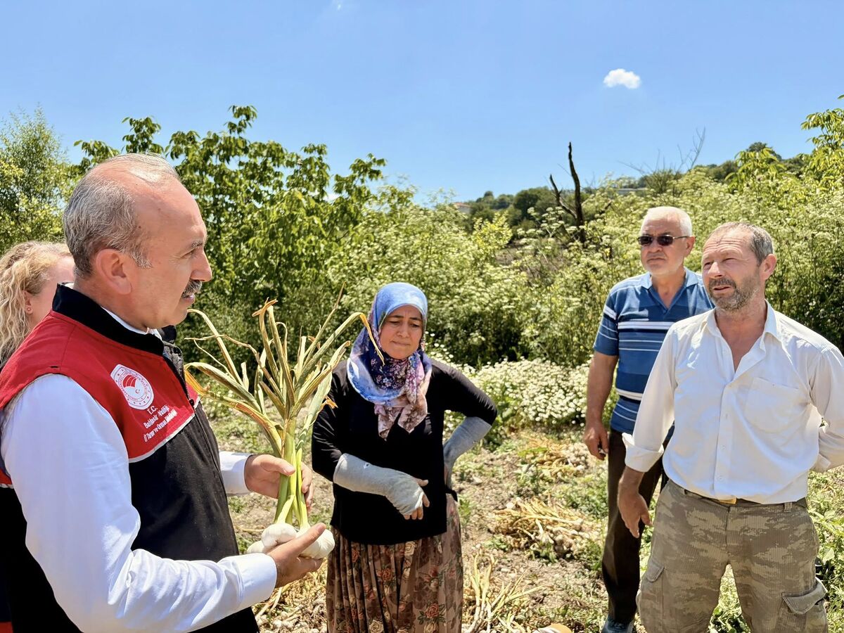 Beyaz Altında Hasat Zamanı 712484879 1405597788277746 2265692188257002273 n - Marmara Bölge Gazetesi
