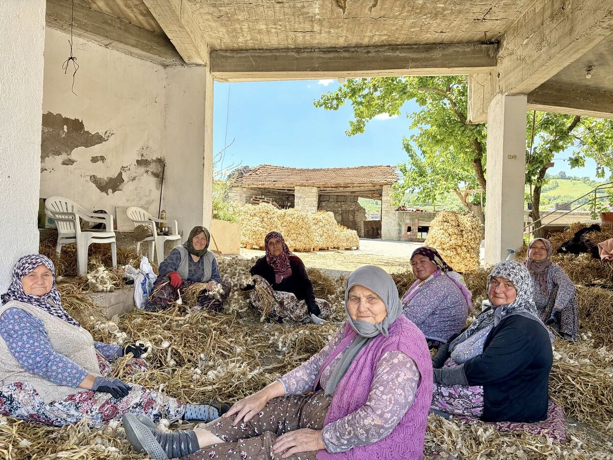 714023895 1405597741611084 1490168455848059438 n - Marmara Bölge Gazetesi