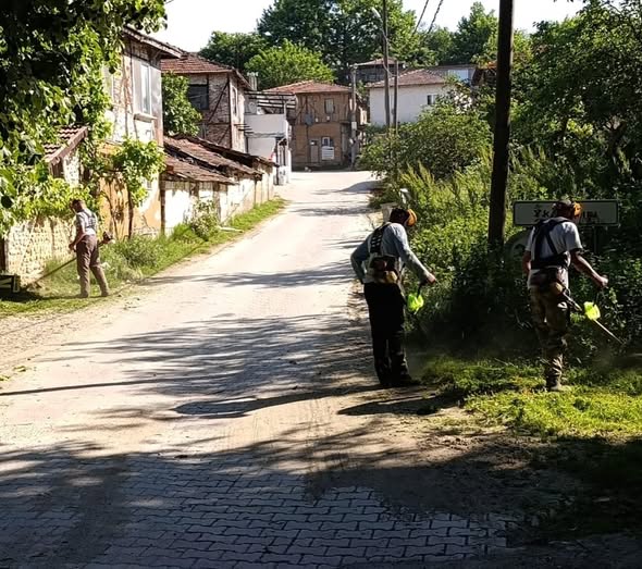 Erdek Belediyesi Park ve Bahçeler Müdürlüğü ekipleri, Yukarıyapıcı ve Hamamlı
