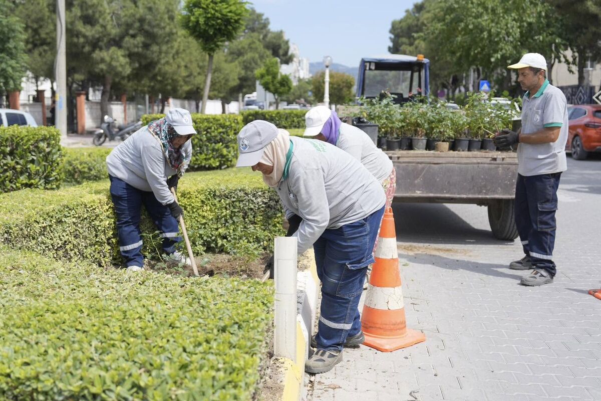 Burhaniye Belediyesi Park ve Bahçeler Müdürlüğü ekipleri, ilçe genelinde yürüttüğü
