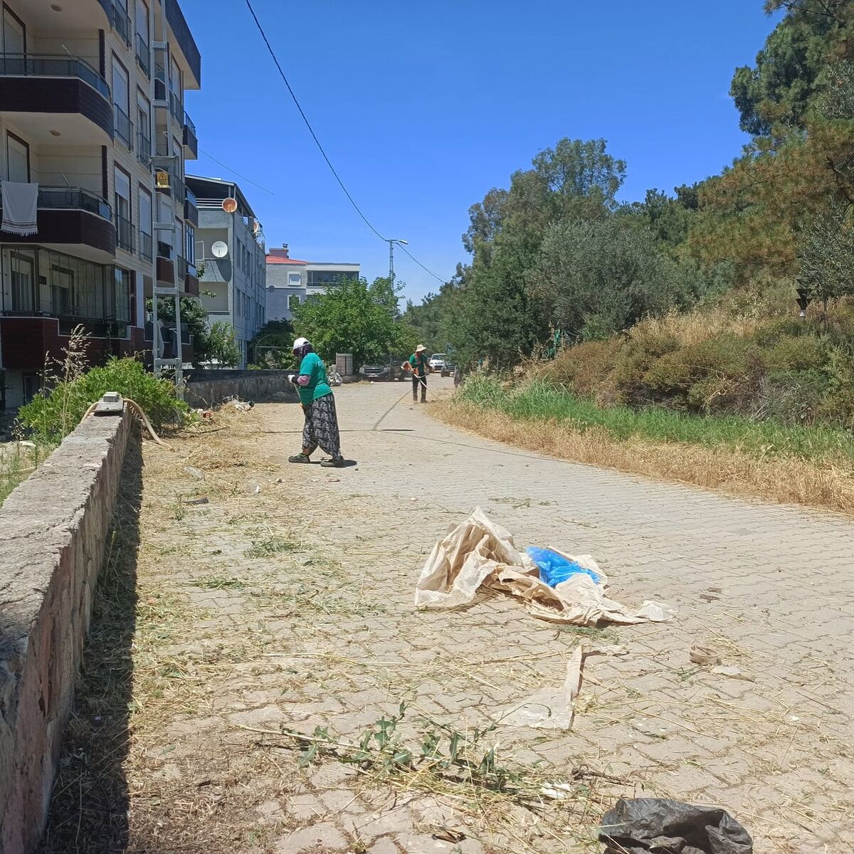 Ayvalık’ta Kritik Gün! 724397327 18560656291064151 6103591599992770675 n - Marmara Bölge Gazetesi