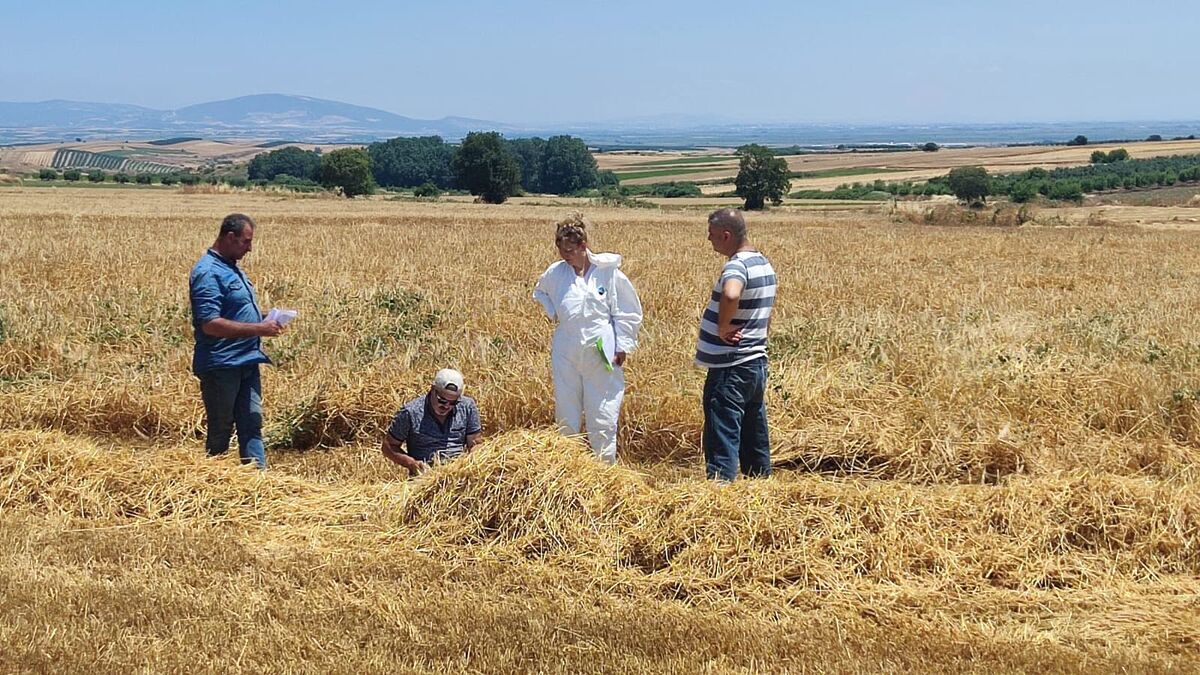Balıkesir İl Tarım ve Orman Müdürlüğü ekipleri, hasat sezonuyla birlikte