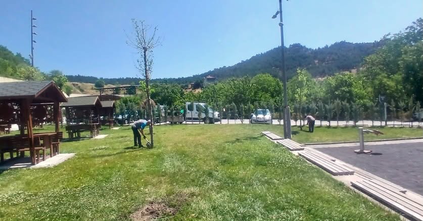 Balıkesir’den Örnek Çalışma! 729467045 900217393096502 525671045309708171 n - Marmara Bölge Gazetesi