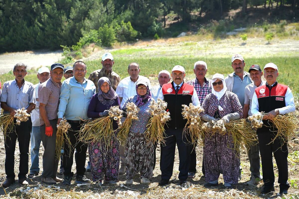 Şifa Kaynağı Cinge Sarımsağı 731111616 1342953841145660 820926183489096666 n - Marmara Bölge Gazetesi