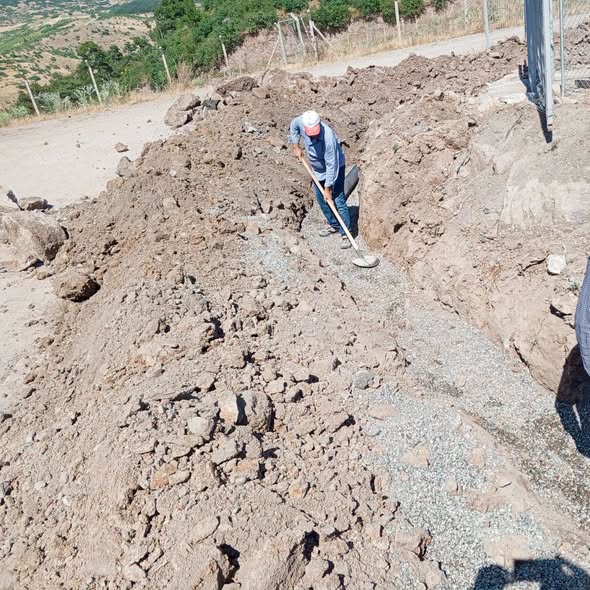Bigadiç Belediyesi, sokak hayvanlarının daha güvenli ve sağlıklı koşullarda yaşamlarını