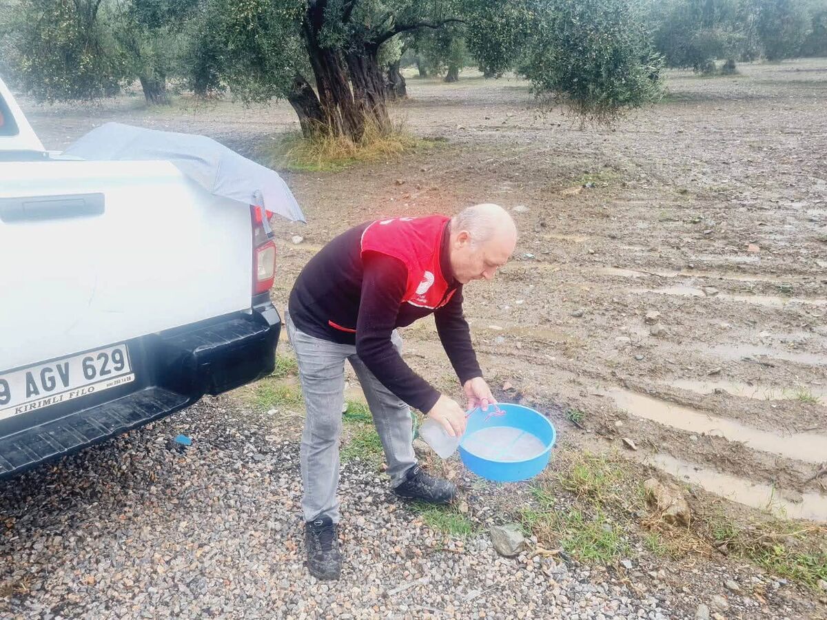 Milyonlarca Zeytin Yok Oluyor! 732533426 1429141499256708 4180142831380337680 n - Marmara Bölge Gazetesi
