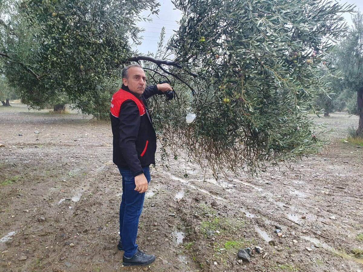 732733419 1429141532590038 9053221273323396808 n - Marmara Bölge Gazetesi
