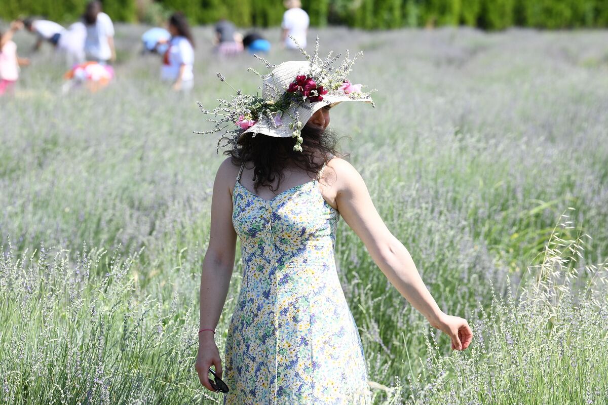 Aromaterapi Festivali İçin Başvurular Başladı AROMATERAPI FESTIVALI 2 - Marmara Bölge Gazetesi