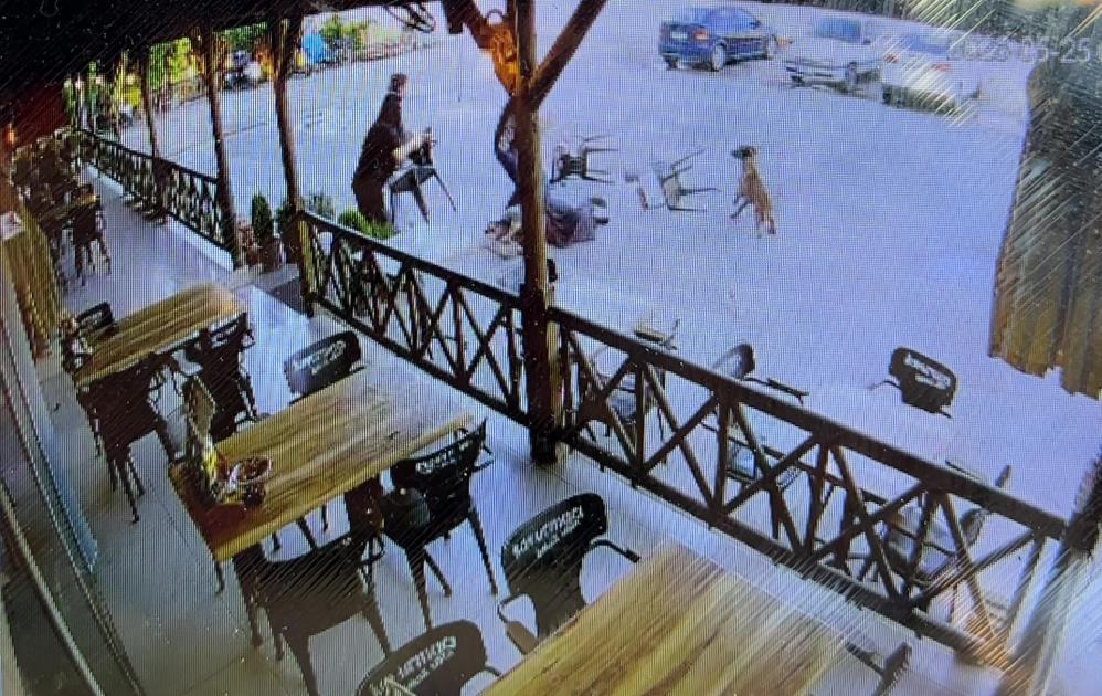 Dinlenme Tesisinde Dehşet! Başıboş Köpek Kadının Kolunu Kopardı AW725261 04 - Marmara Bölge Gazetesi