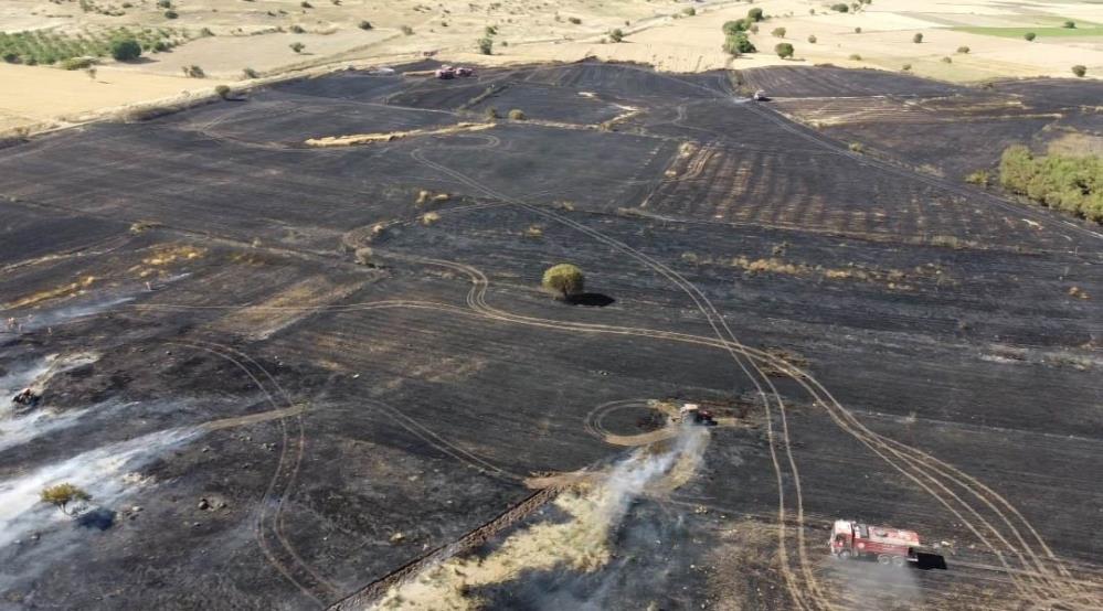 Balıkesir’de Arazi Yangını Korkuttu! AW727010 01 - Marmara Bölge Gazetesi