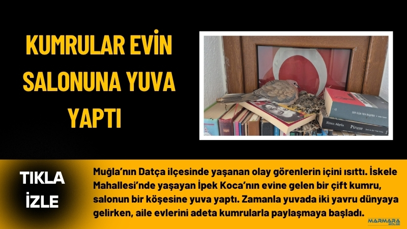 Muğla’nın Datça ilçesinde yaşanan olay görenlerin içini ısıttı. İskele Mahallesi’nde