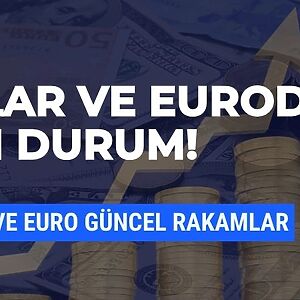 Küresel piyasalarda yaşanan gelişmeler ve ekonomi gündemindeki hareketlilik nedeniyle döviz