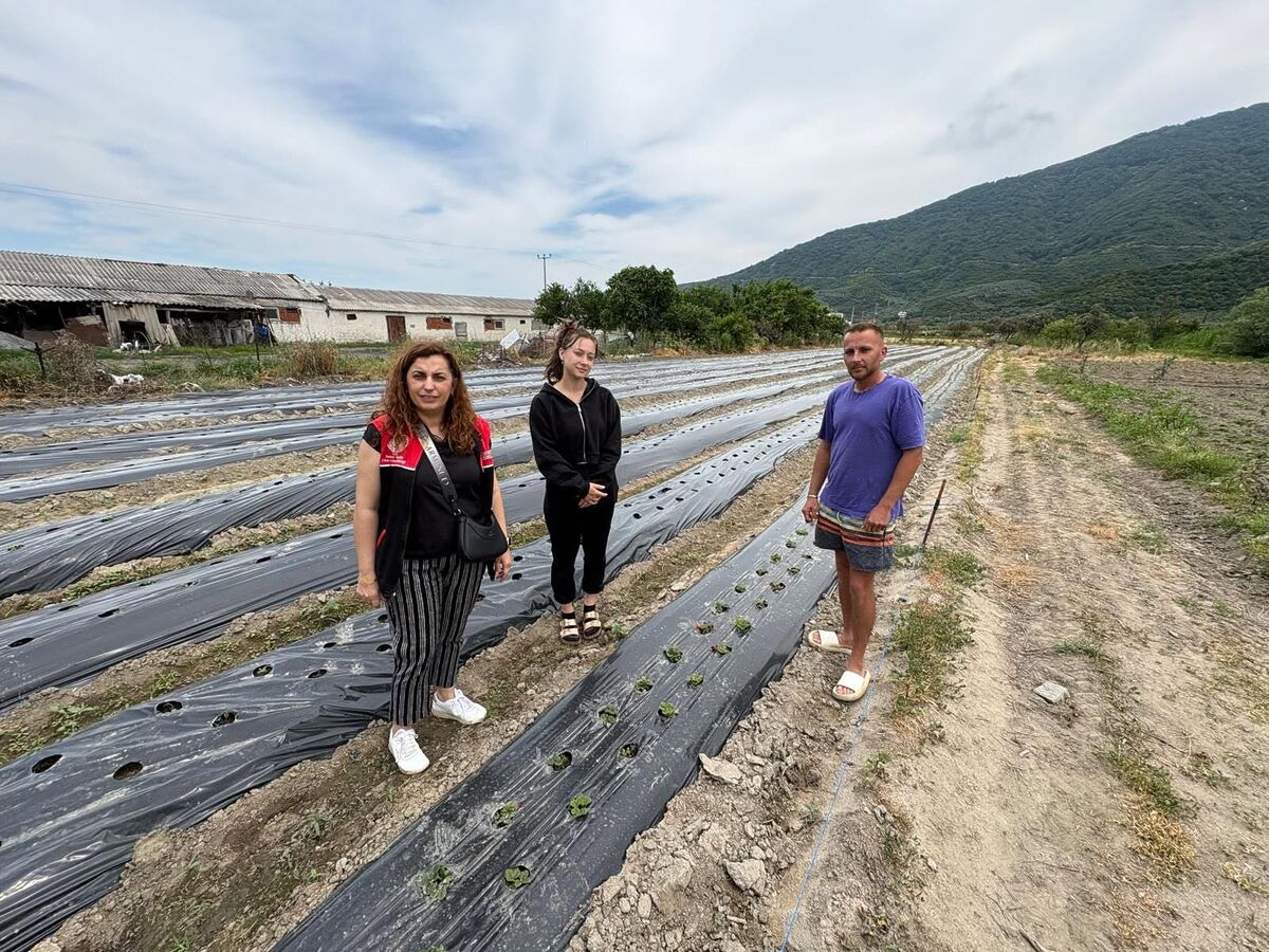 Erdek’te Çilek Bahçeleri Arasında Yolculuk Erdekte Cilek Bahceleri Arasinda Yolculuk 3 - Marmara Bölge Gazetesi