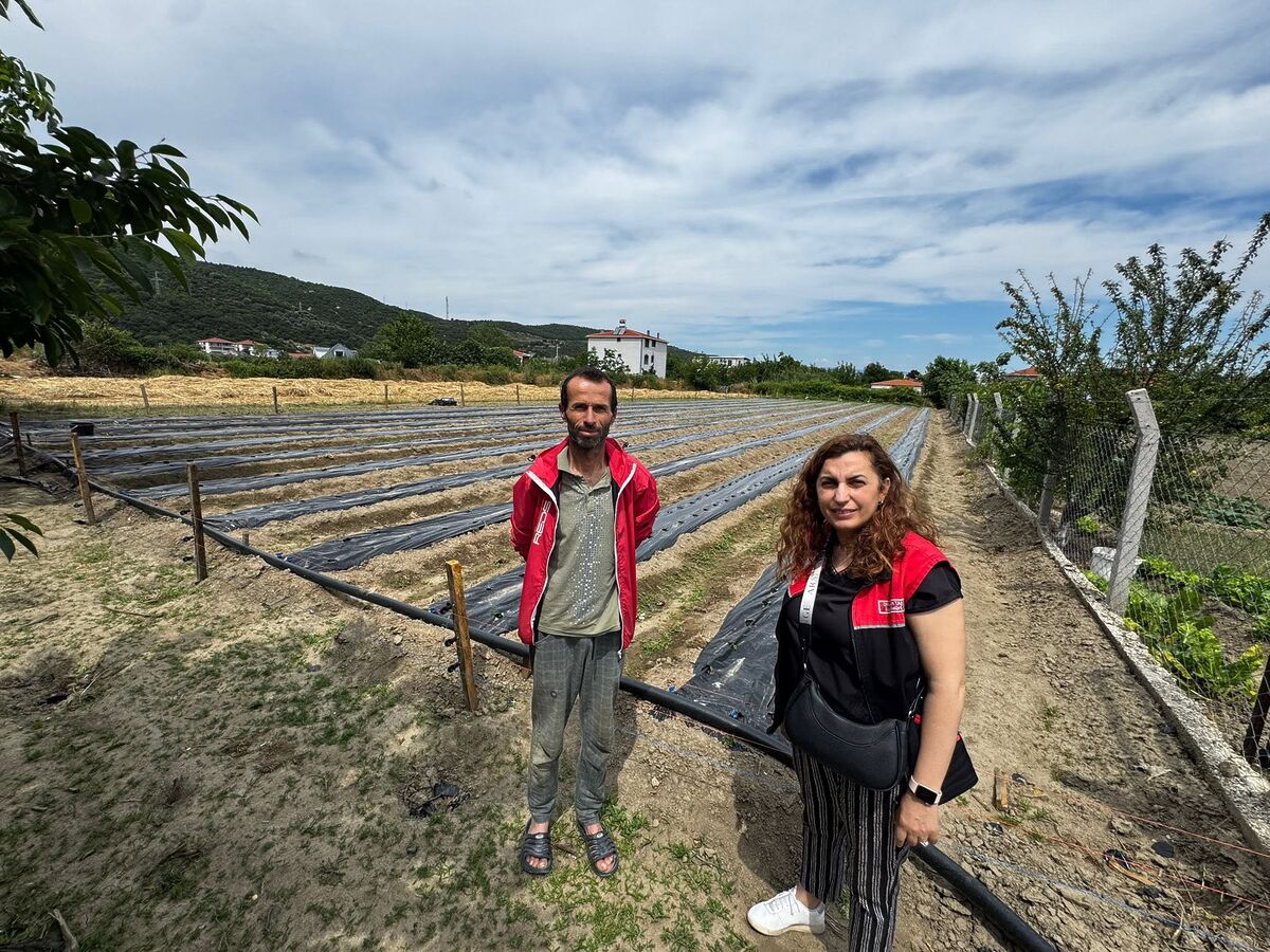 Erdek’te Çilek Bahçeleri Arasında Yolculuk Erdekte Cilek Bahceleri Arasinda Yolculuk 4 - Marmara Bölge Gazetesi