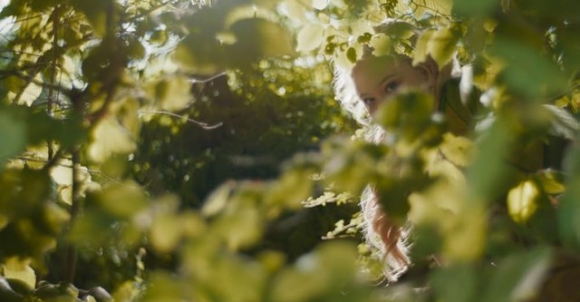Bu Hafta Vizyonda Neler Var? İşte Sinema Salonlarına Gelen Yeni Filmler Gizemli Agac The Magic Faraway Tree - Marmara Bölge Gazetesi