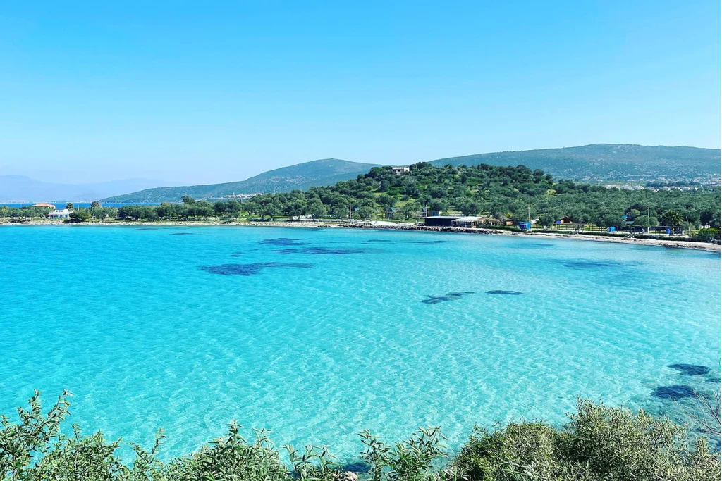 KAYNARPINAR KOYU - Marmara Bölge Gazetesi