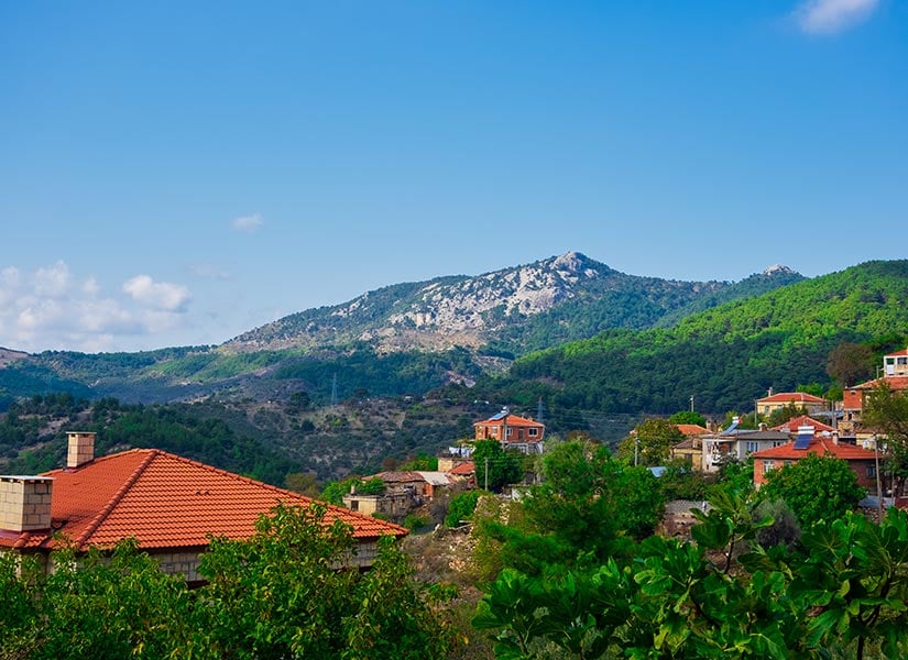 Balıkesir ile Çanakkale arasında uzanan Kazdağları, sadece Türkiye'nin değil dünyanın