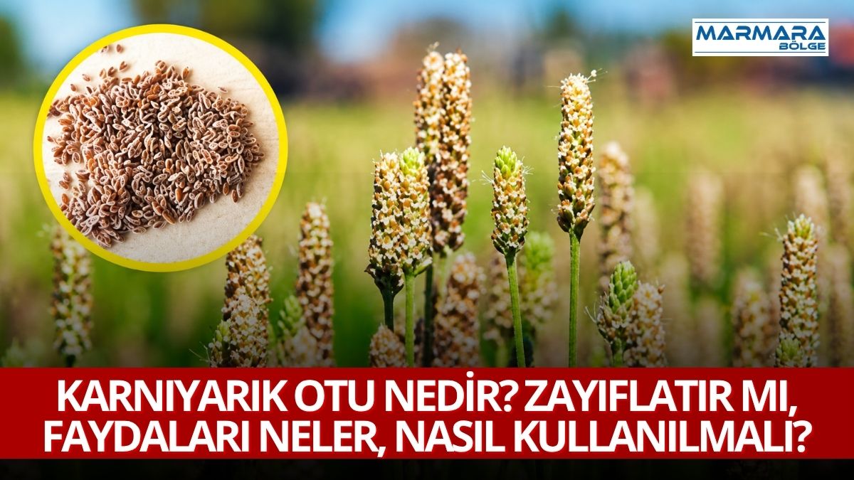 Bağırsakları çalıştırdığı, uzun süre tok tuttuğu ve kilo kontrolüne yardımcı
