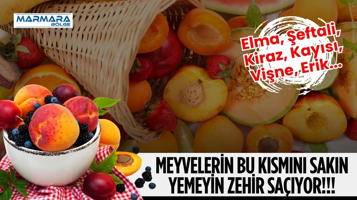 Masum görünen bazı meyve çekirdekleri ciddi sağlık riskleri taşıyabiliyor. Kayısı,