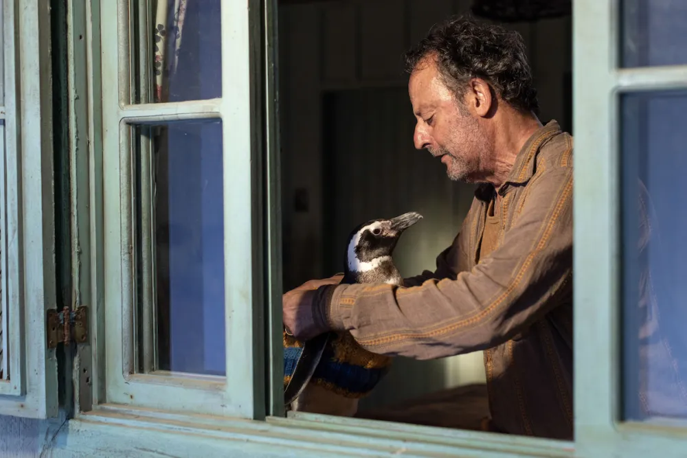 Dostluk ve Fedakârlık Temalı Hayvan Filmleri My Penguin Friend 2024 - Marmara Bölge Gazetesi