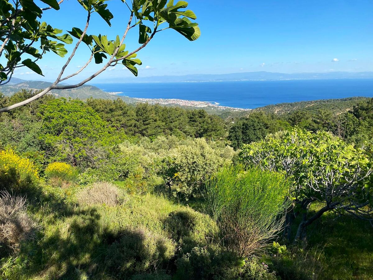 Kazdağları’nın Eteklerinde Kurulu Bu Şirin Köy, Doğayla Baş Başa Tatil Yapmak İsteyenlerin Gözdesi NUSRATLI KOYU 2 - Marmara Bölge Gazetesi
