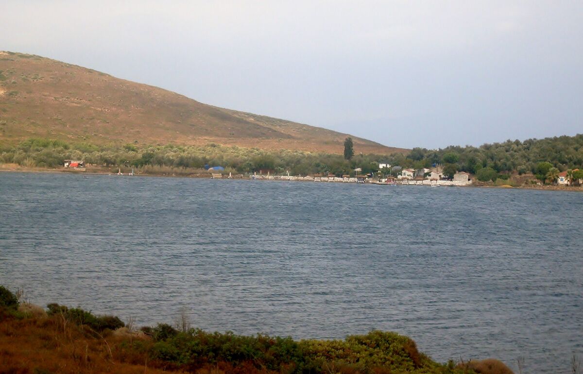 Ayvalık’ın gözlerden uzak doğal güzelliklerinden biri olan Patriça Koyu, turkuaz