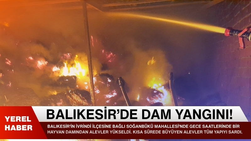 Balıkesir’in İvrindi ilçesine bağlı Soğanbükü Mahallesi’nde gece saatlerinde bir hayvan