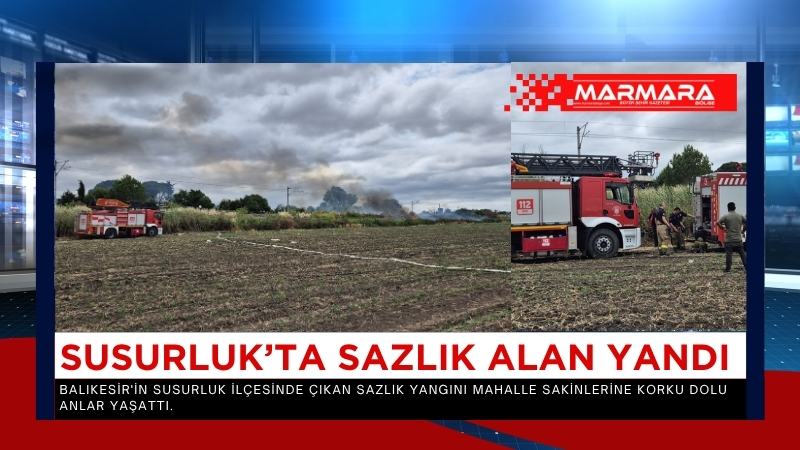 Balıkesir'in Susurluk ilçesinde çıkan sazlık yangını mahalle sakinlerine korku dolu