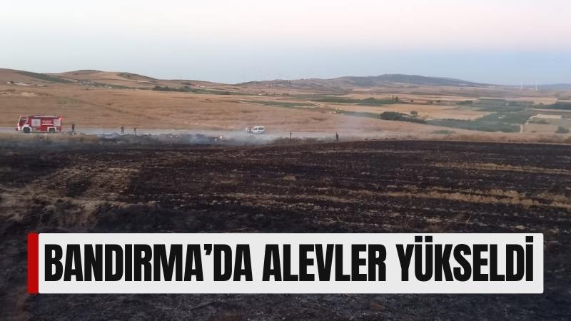 Balıkesir'in Bandırma ilçesinde yerleşim alanlarına yakın bir noktada çıkan yangın,