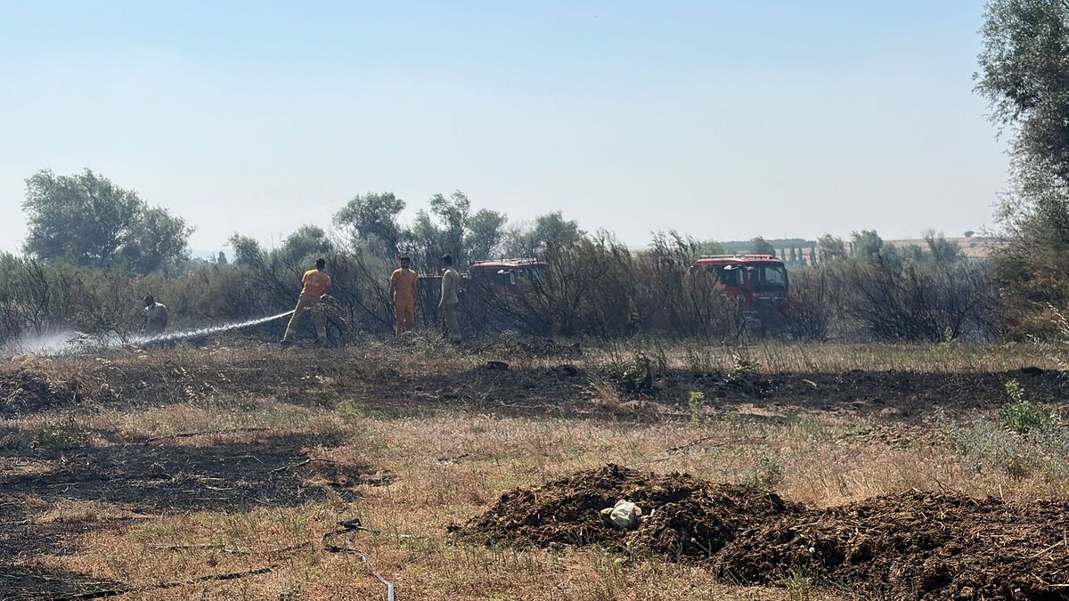 Balıkesir’in Kepsut ilçesinde çıkan arazi yangını mahallede kısa süreli paniğe