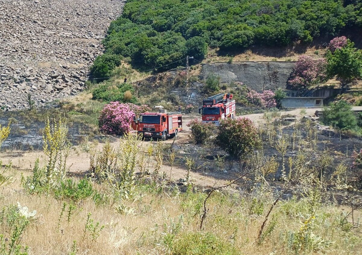 Balıkesir’in Ayvalık ilçesinde bulunan Madra Barajı mevkiinde çıkan arazi yangını,