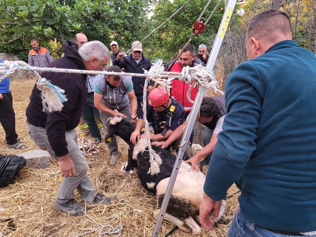 Balıkesir’in Manyas ilçesine bağlı kırsal Kalebayır Mahallesi’nde su kuyusuna düşen