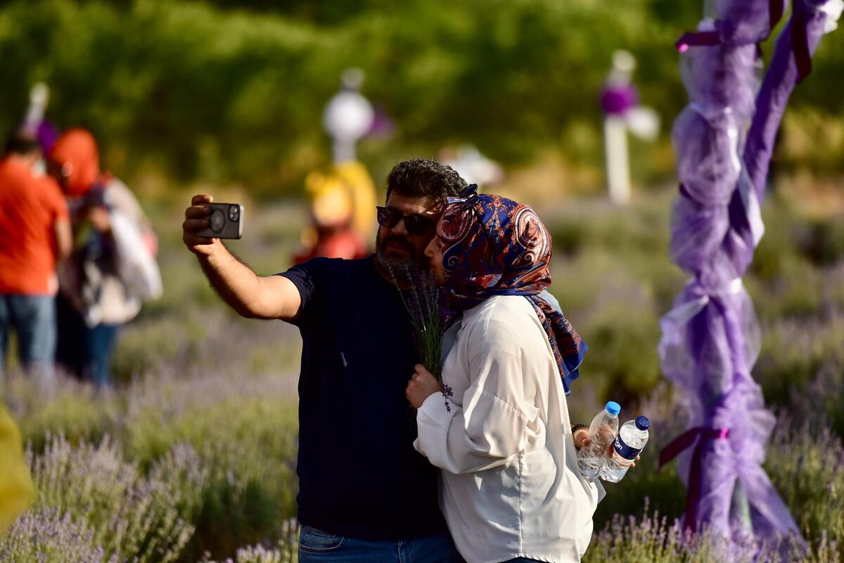 Balıkesir’e Yolunuz Düşerse Mutlaka Görmeniz Gereken Mor Cennet WhatsApp Image 2026 06 22 at 11.30.05 2 - Marmara Bölge Gazetesi
