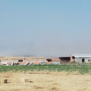 Balıkesir'in Kepsut ilçesine bağlı Osmaniye Mahallesi'nde çıkan yangın paniğe neden