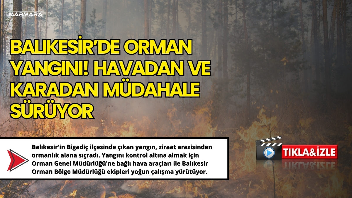 Balıkesir'in Bigadiç ilçesinde çıkan yangın, ziraat arazisinden ormanlık alana sıçradı.