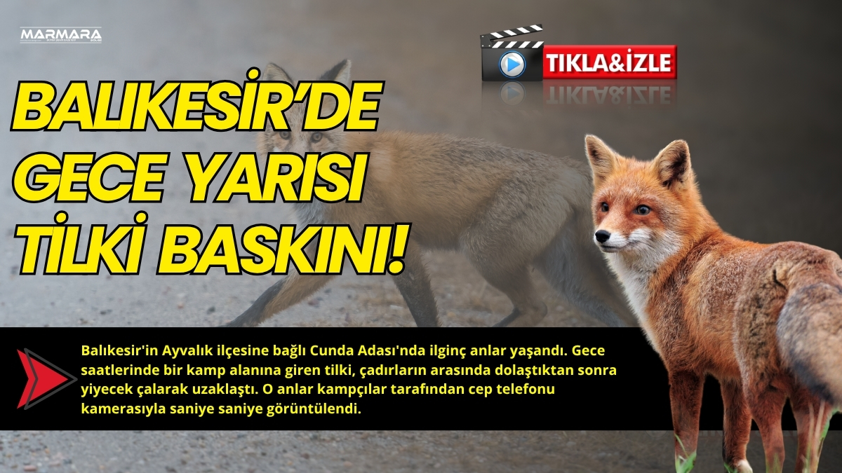 Balıkesir'in Ayvalık ilçesine bağlı Cunda Adası'nda ilginç anlar yaşandı. Gece
