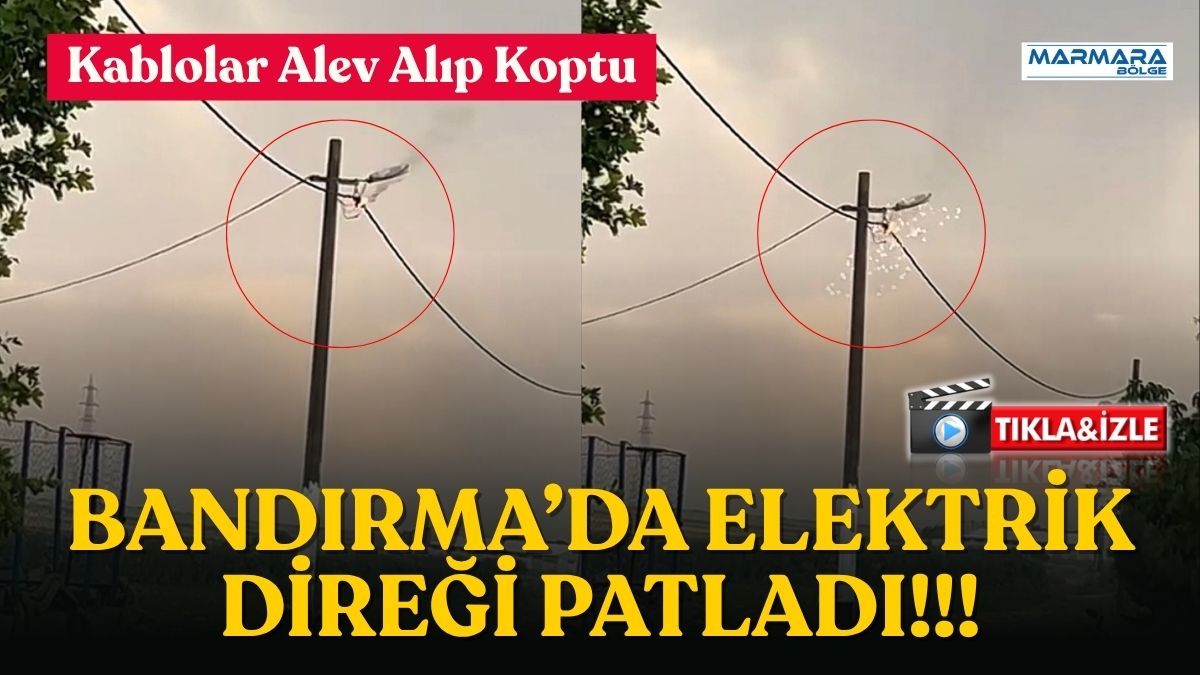 Balıkesir’in Bandırma ilçesine bağlı Doğanpınar Mahallesi’nde sabah saatlerinde meydana gelen