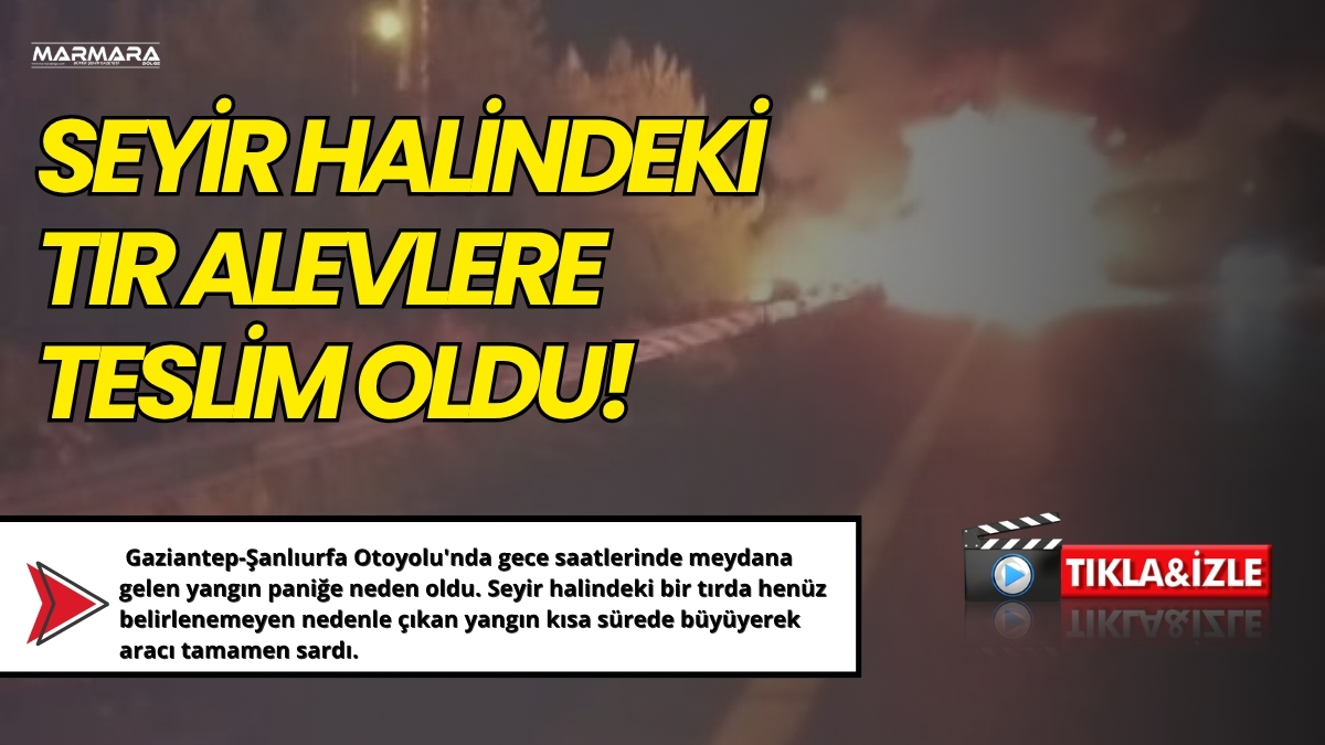 Gaziantep-Şanlıurfa Otoyolu'nda gece saatlerinde meydana gelen yangın paniğe neden oldu.