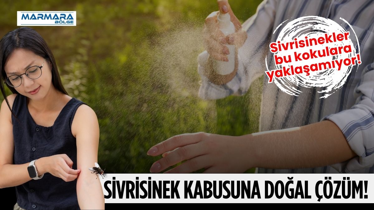 Yaz aylarının en büyük sorunlarından biri olan sivrisineklerden kimyasal kullanmadan