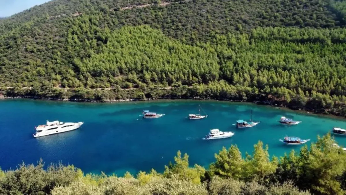 mazi koyu bodrum - Marmara Bölge Gazetesi