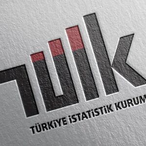 Türkiye İstatistik Kurumu (TÜİK), 2025 yılına ait Zaman Kullanım Araştırması'nın