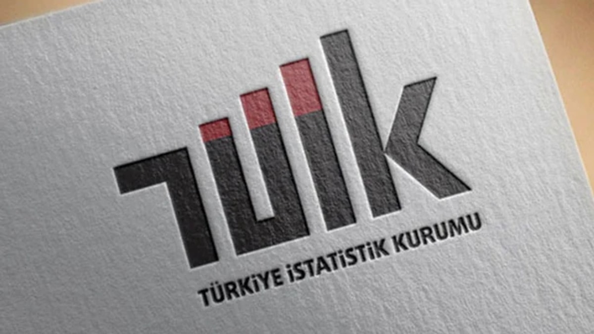 Türkiye İstatistik Kurumu (TÜİK), 2025 yılına ait Zaman Kullanım Araştırması'nın