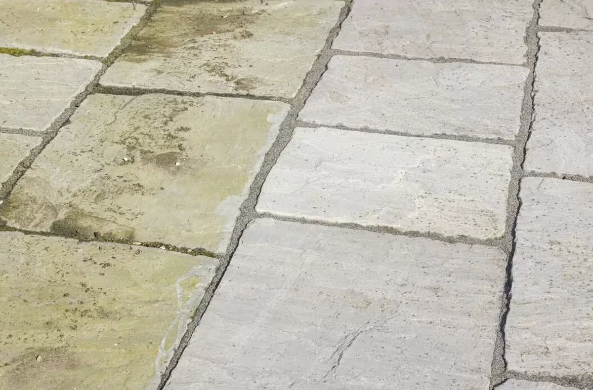 Bahçedeki Yosun ve Lekeleri Temizlemenin Doğal Yolu! s bdbeefe866ef974ad3b830d7b21633594f670156 - Marmara Bölge Gazetesi