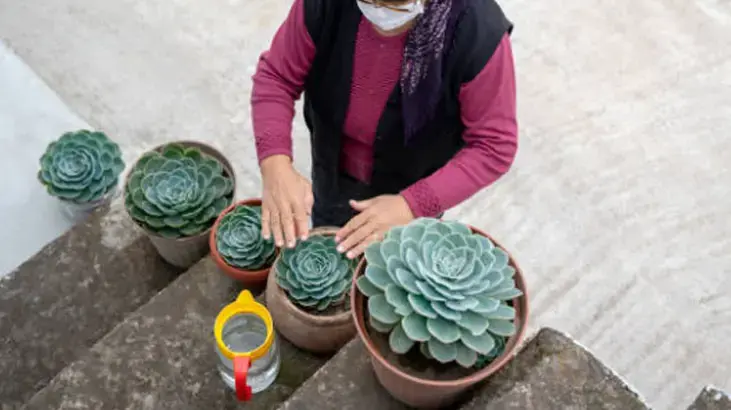 Yazın Balkonunda Saksı Bulunduranlar Dikkat! 6a4f902fd043e11f6c7a77c7 - Marmara Bölge Gazetesi
