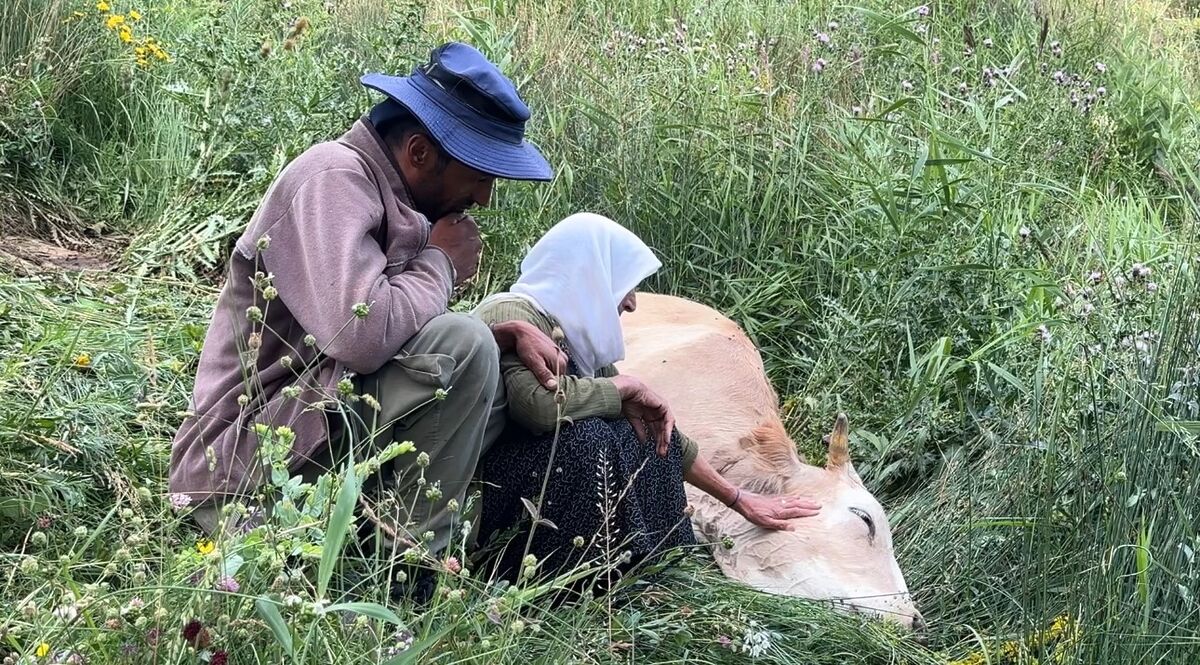 7 Cocuklu Ailenin Inegi Telef Oldu 2 - Marmara Bölge Gazetesi