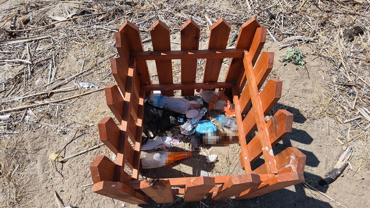 700 Bin Liralik Kum Zambaklarini Koruyan Kafese Cop Attilar 6 - Marmara Bölge Gazetesi