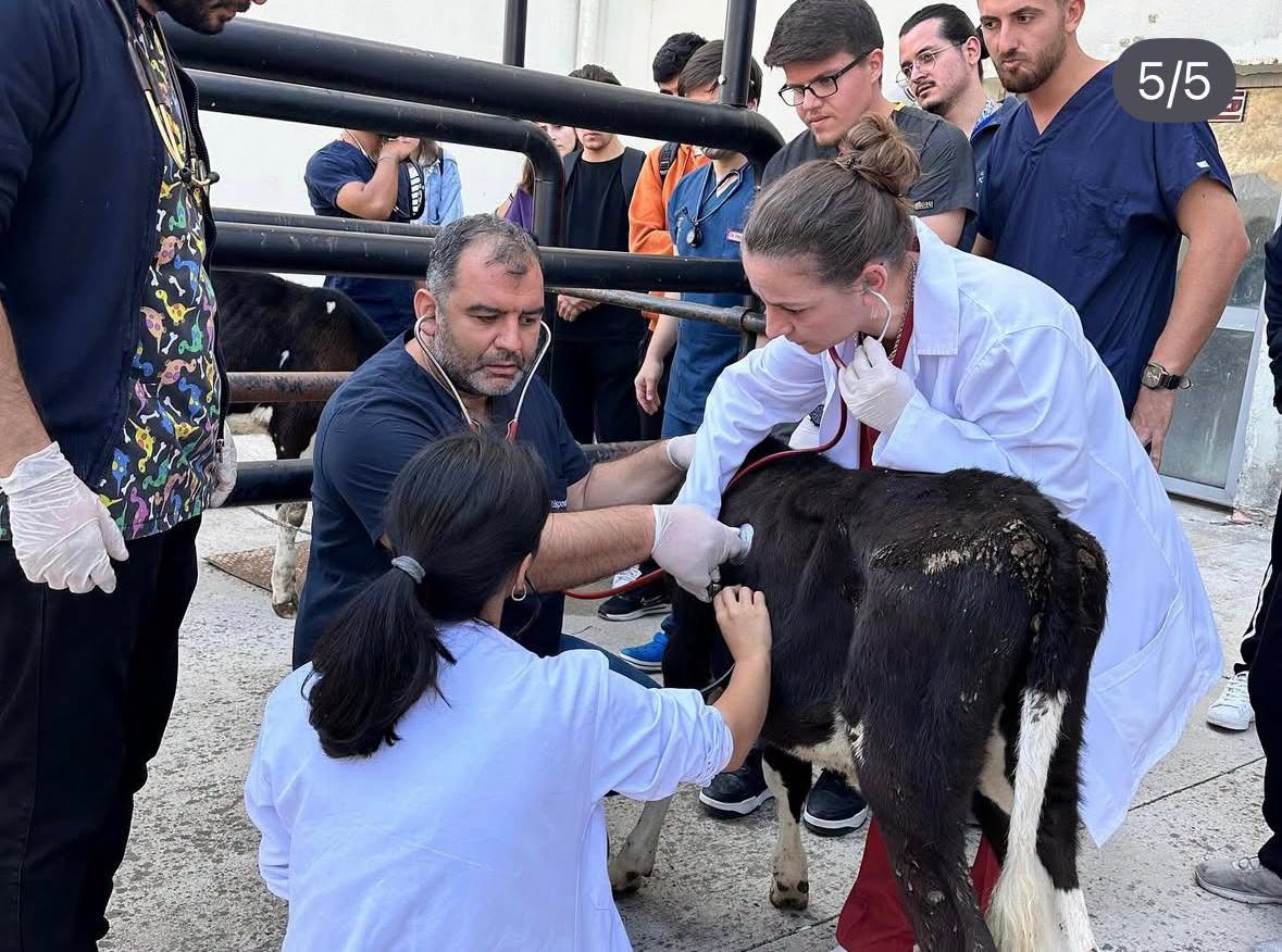 Balıkesir Üniversitesi Veteriner Fakültesi ve Hayvan Hastanesi, yalnızca Balıkesir'in değil