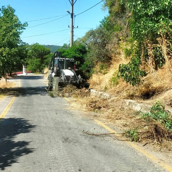Bigadiç Belediyesi, ilçe genelinde yol kenarlarında ot biçme, detaylı çevre